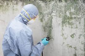 Mold Remediation for Vacation Homes in Lipscom, AL